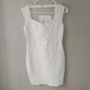 Fashion Nova Bodycon Mini Dress